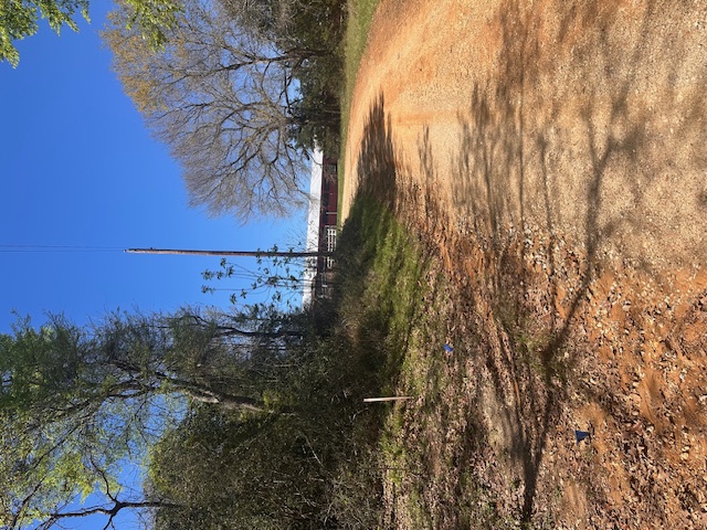 4 Lakeview Circle Hilltop Lakes, TX 77871 - Photo 6 of 20 a backyard of a house with lots of green space