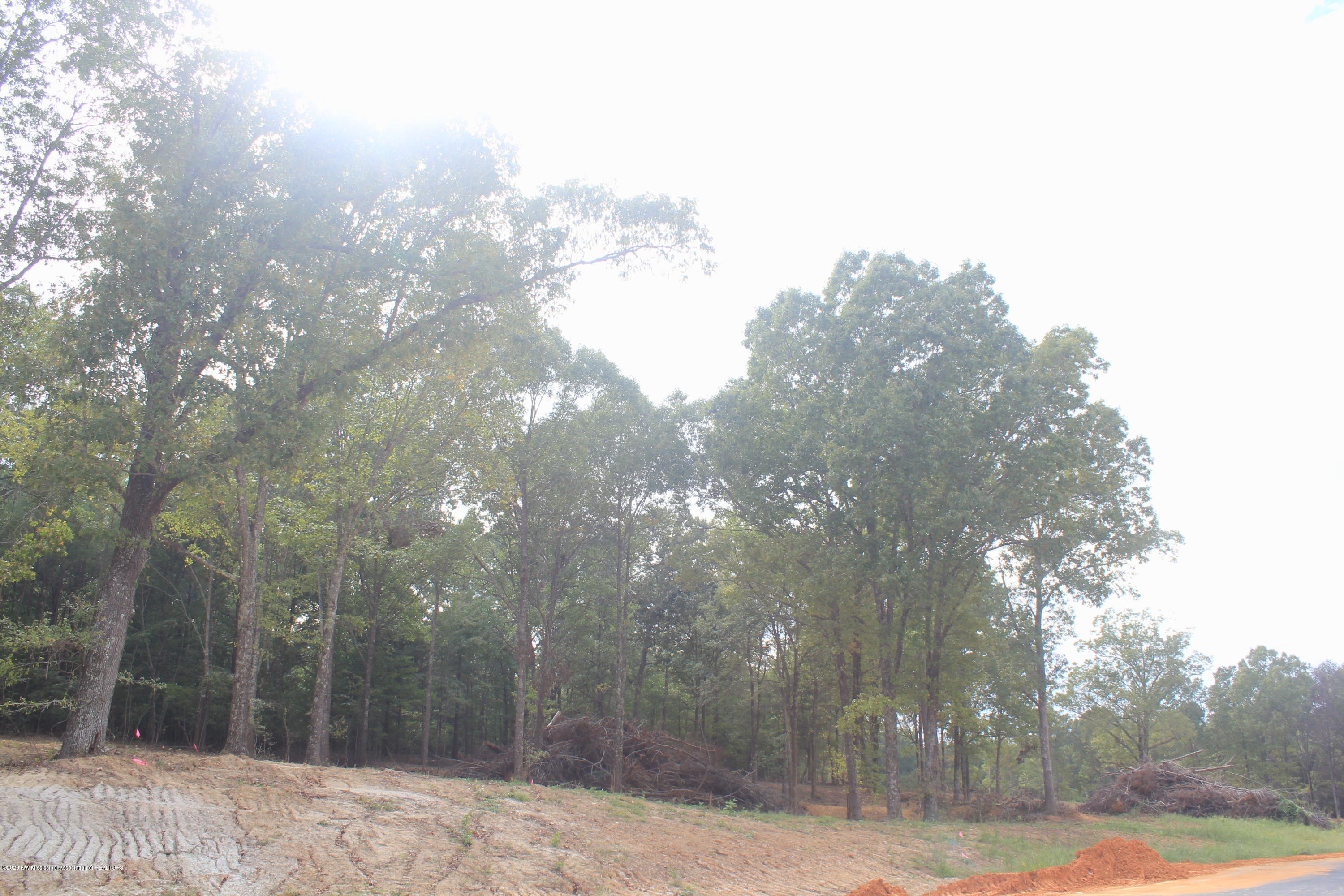 55 Hayward Road Byhalia, MS 38611 - Photo 26 of 28 IMG_4822