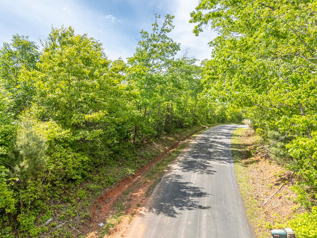 Tbd Ahart Ridge Road, Unit 58 60 61 Ararat, VA 24053 - Photo 30 of 54 Gallery Image 30