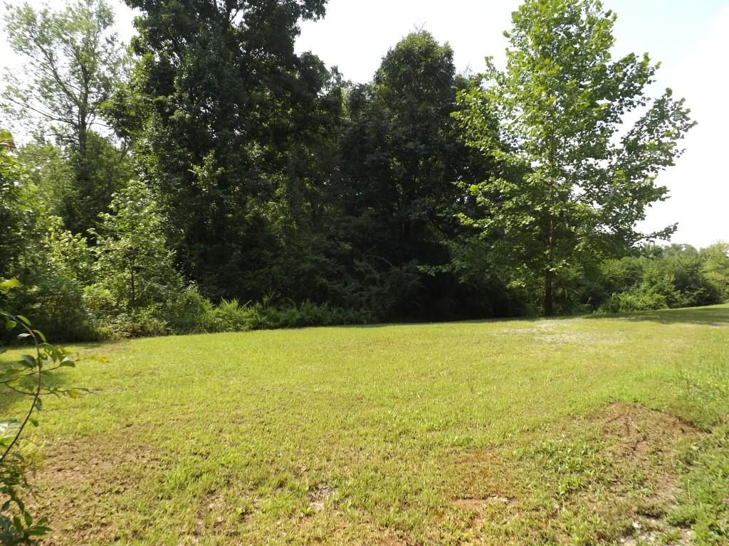 348 Ault Road Spring City, TN 37381 - Photo 18 of 37 property 1