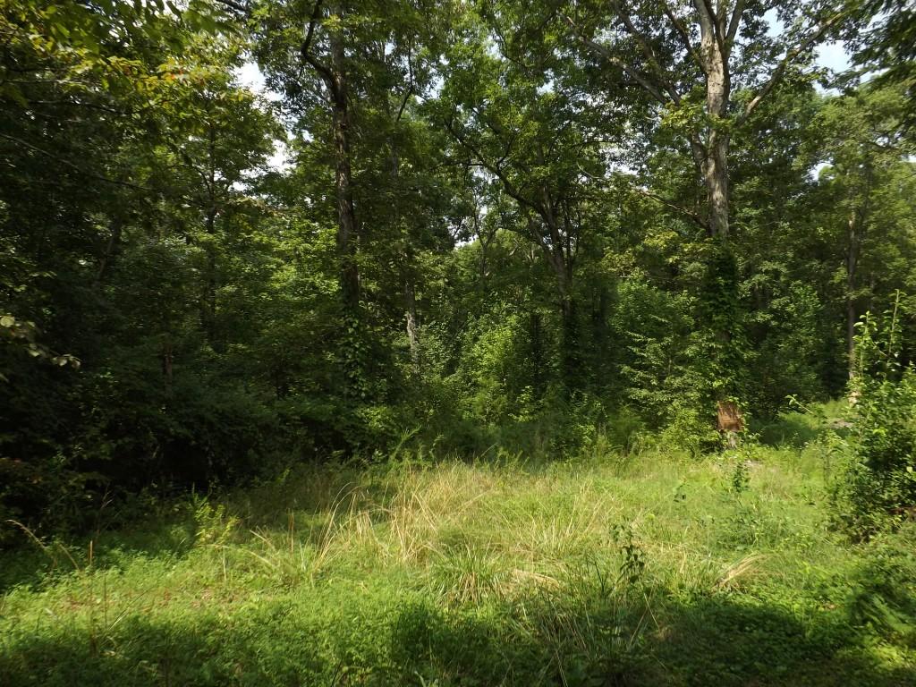 348 Ault Road Spring City, TN 37381 - Photo 19 of 37 property 3