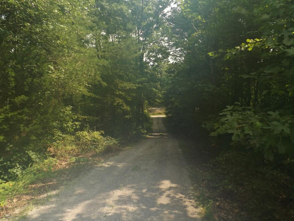 348 Ault Road Spring City, TN 37381 - Photo 5 of 37 drive into property