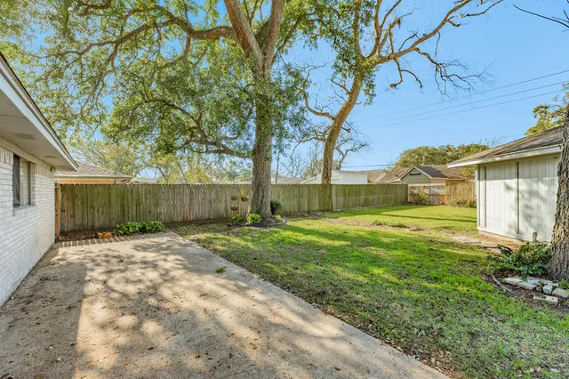 a backyard of a house with plants and large tree
