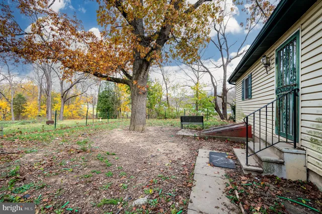 a view of a yard with plants and trees
