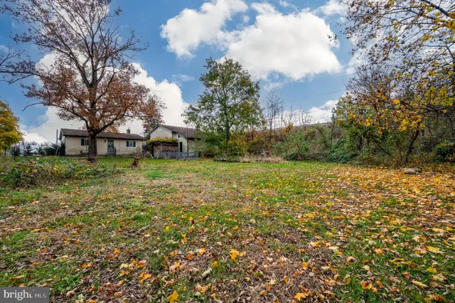 a view of a field with large trees