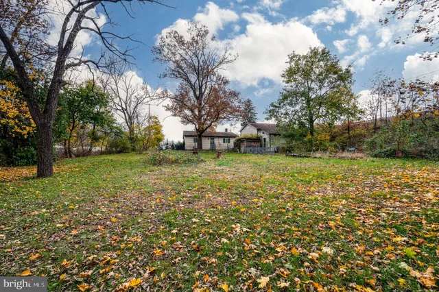a view of a field with tree