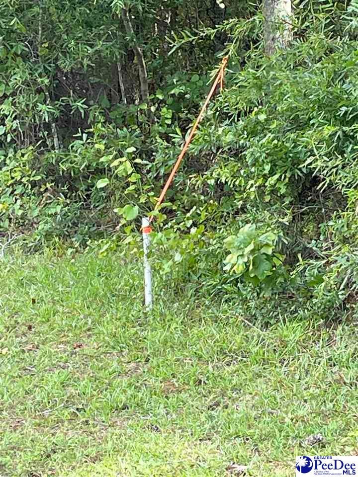 0 Twin Church Road Timmonsville, SC 29161 - Photo 15 of 20 Gallery Image 15