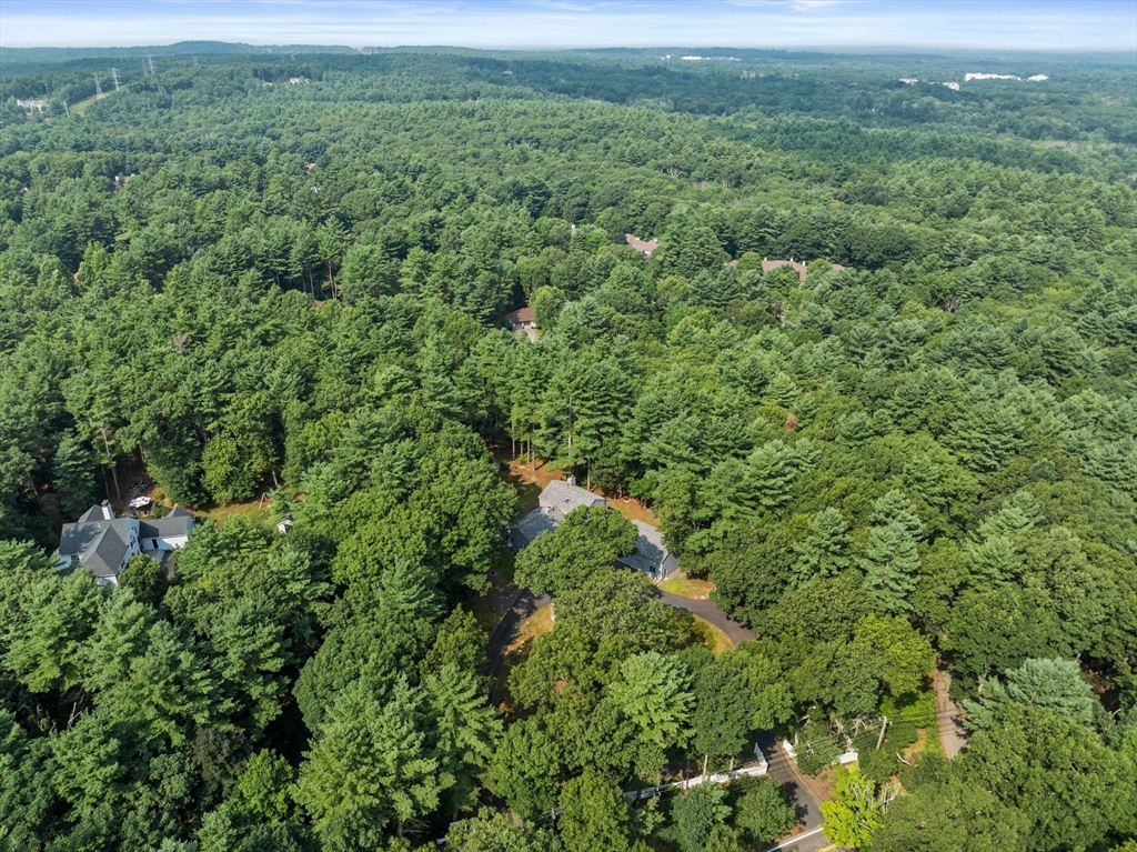 31 Dedham Street Sharon, MA 02067 - Photo 37 of 42 a view of a lush green forest with lots of trees