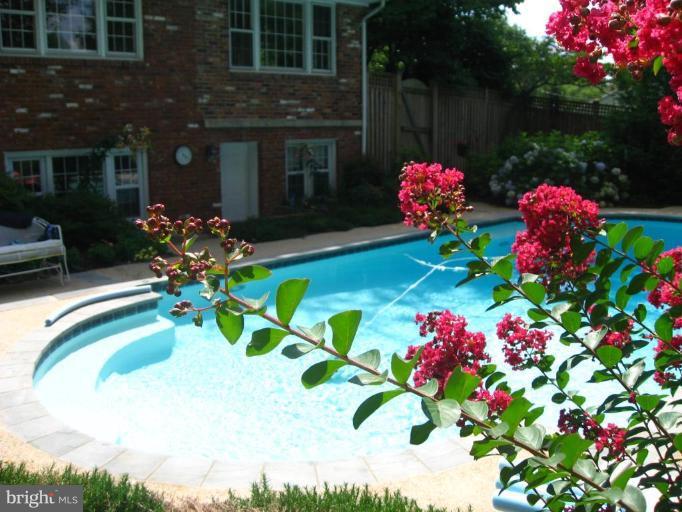 3937 Chesterbrook Road Arlington, VA 22207 - Photo 11 of 24 Back yard