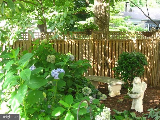 3937 Chesterbrook Road Arlington, VA 22207 - Photo 21 of 24 Garden #2