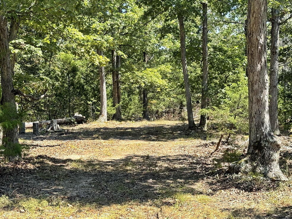 0 Southeast 500 Road Collins, MO 64738 - Photo 32 of 43 32