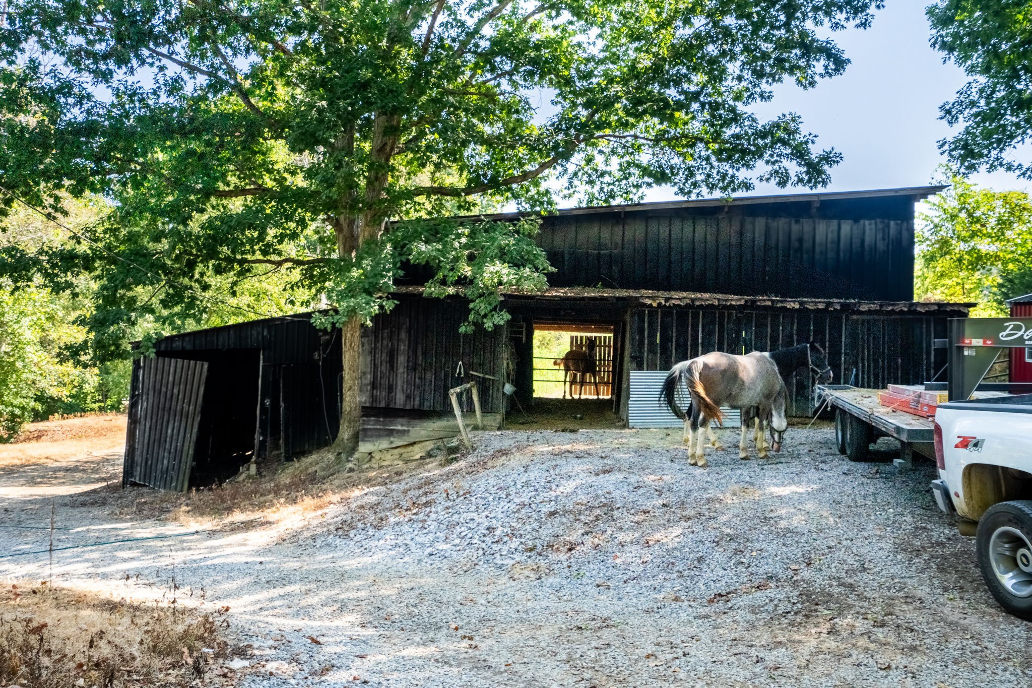 345 Martin Road Portland, TN 37148 - Photo 51 of 69