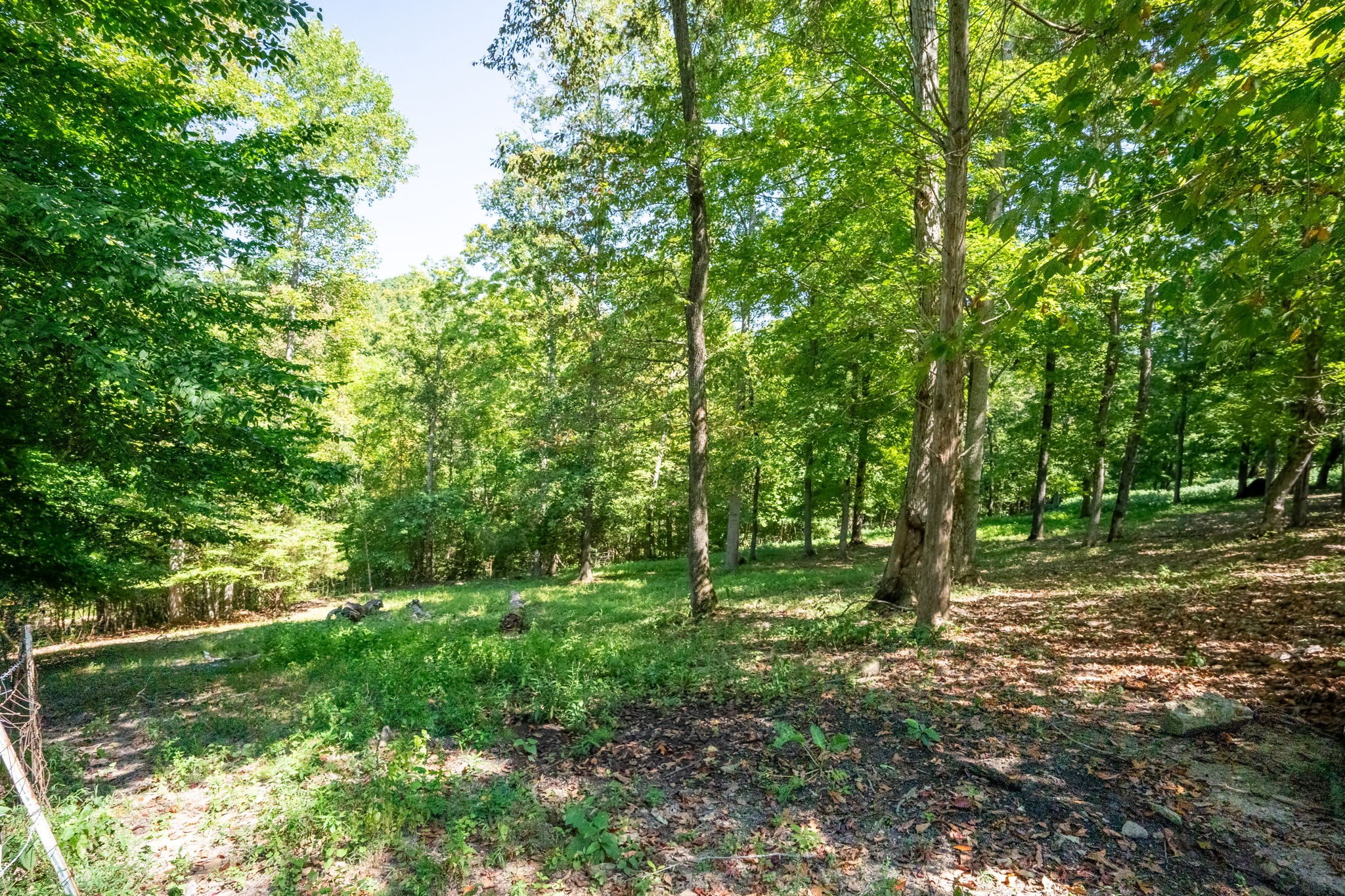 345 Martin Road Portland, TN 37148 - Photo 54 of 69
