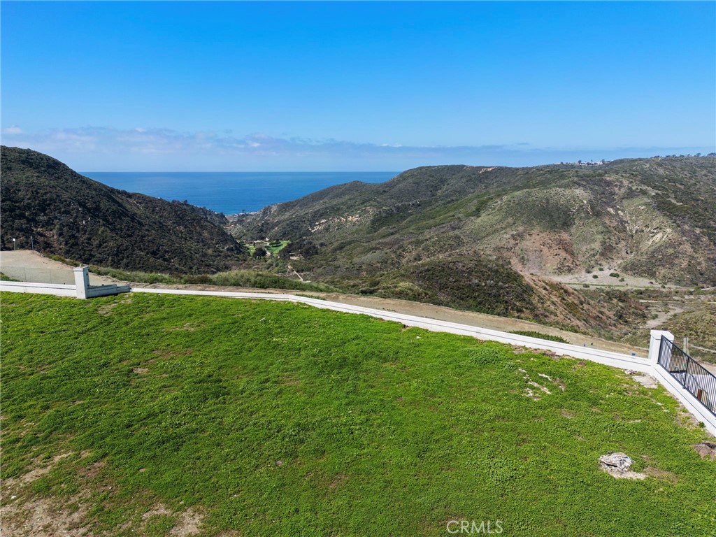 a view of a field with an ocean