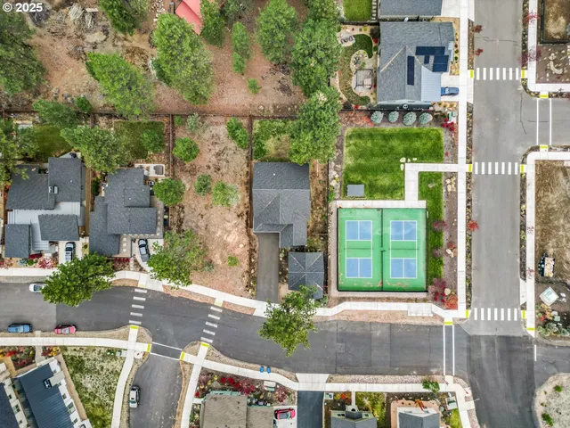 an aerial view of a house with a yard and potted plants