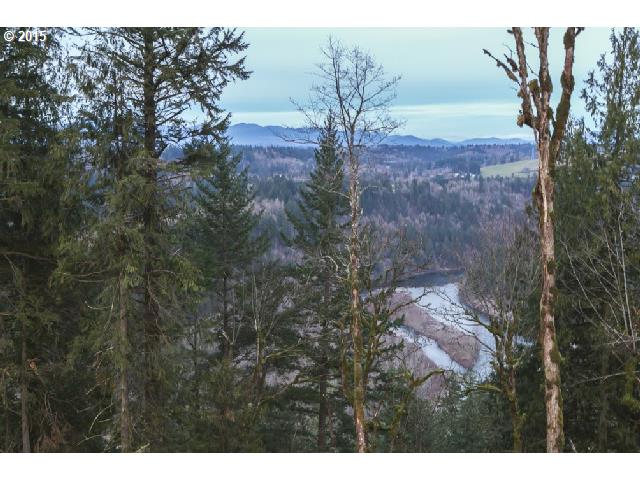 34911 Southeast Homan Road Gresham, OR 97080 - Photo 2 of 6 a view of a yard