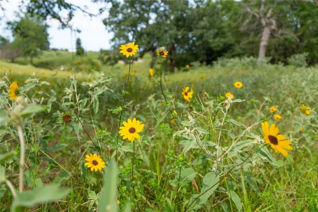a view of a lake view with a yard