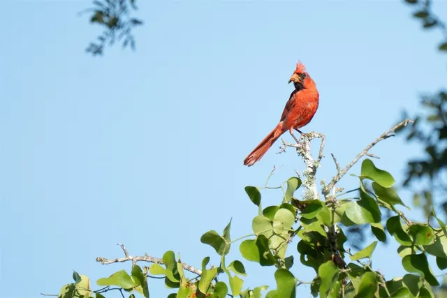 a view of a lake in front of house