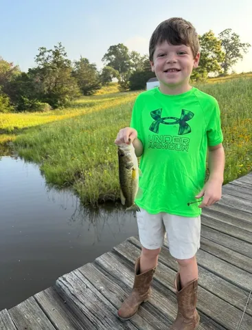 $795,000 | 1156 Private Road 5012, Ledbetter, TX 78946