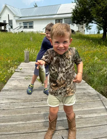 a view of a yard with table and chairs