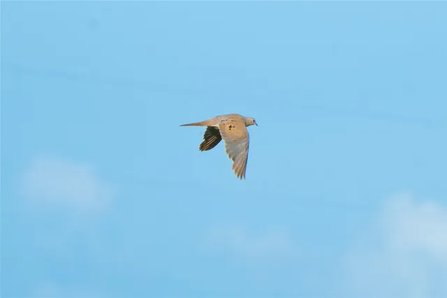 a close up of a wall