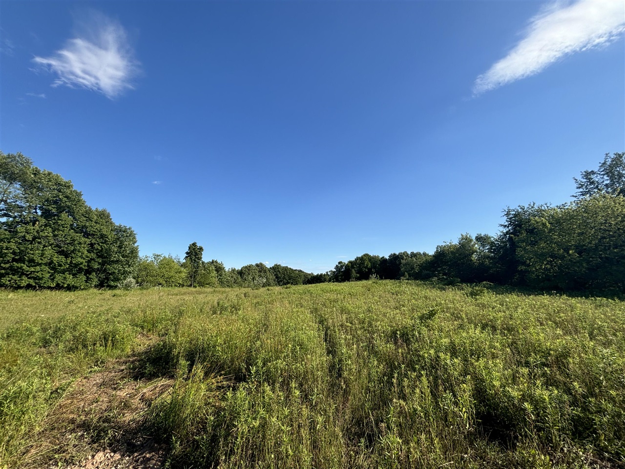 38.14 Northeast A Ne Hayes Road Comstock Park, MI 49321 - Photo 21 of 38