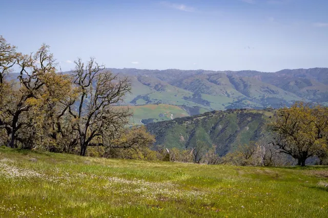 a view of a backyard with mountain