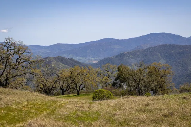 a view of a dry yard with mountains in the background