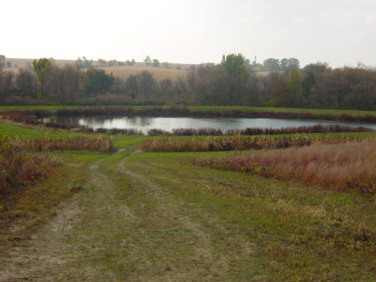 5809 North Fork Creek Road Forreston, IL 61030 - Photo 1 of 6 Gallery Image 1