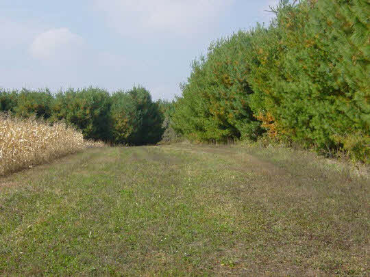 5809 North Fork Creek Road Forreston, IL 61030 - Photo 6 of 6 Gallery Image 6