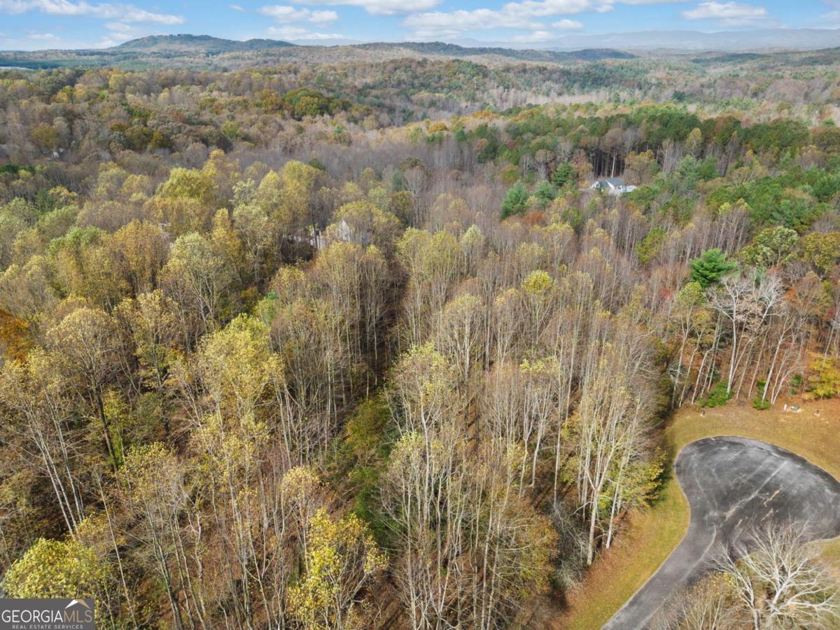 Lot 14 Highpoint Ridge Ellijay, GA 30536 - Photo 11 of 23 Gallery Image 11