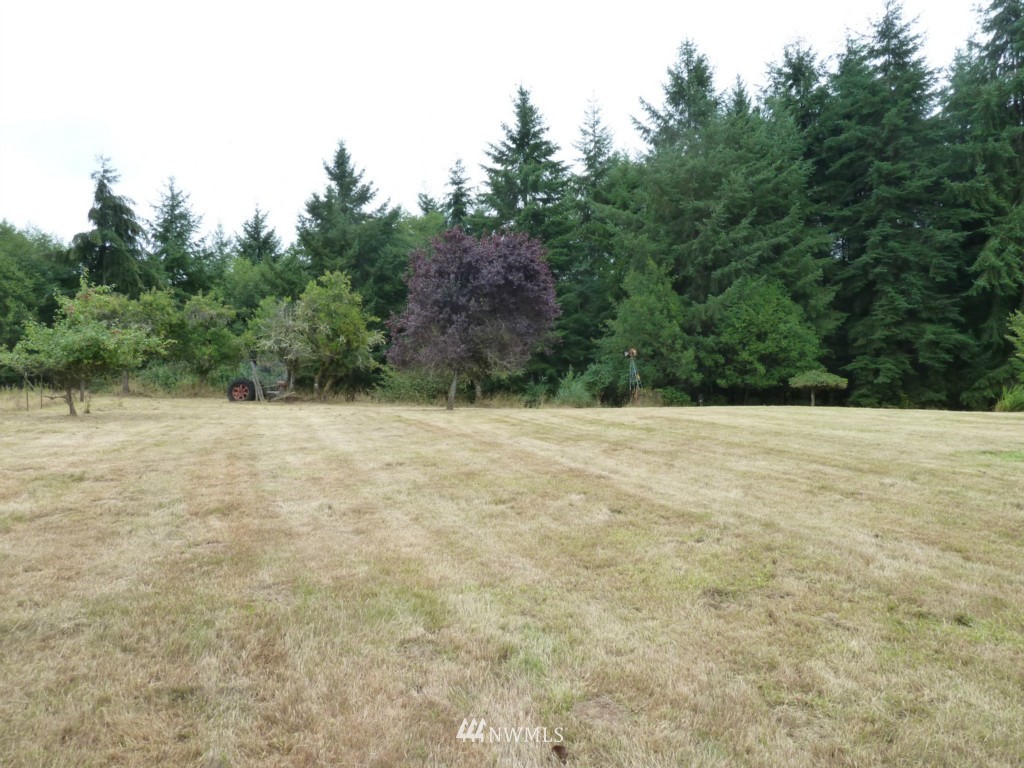 115 Juanita Road Chehalis, WA 98532 - Photo 15 of 20