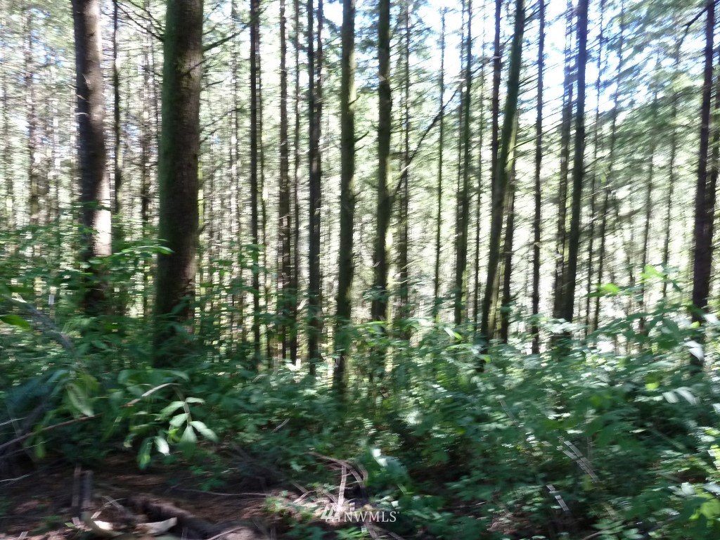 115 Juanita Road Chehalis, WA 98532 - Photo 18 of 20