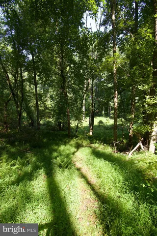 a view of yard with green space