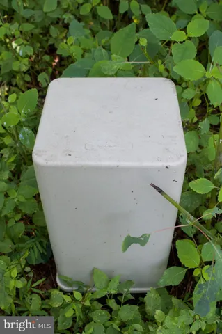 a white bath tub sitting in a backyard