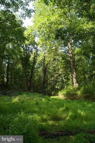a view of an outdoor space and a yard
