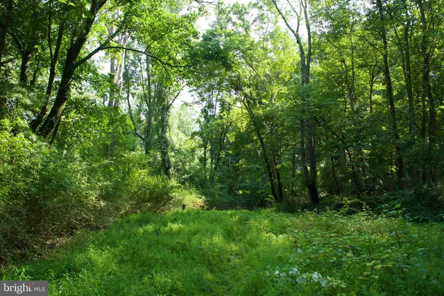 a view of outdoor space and trees