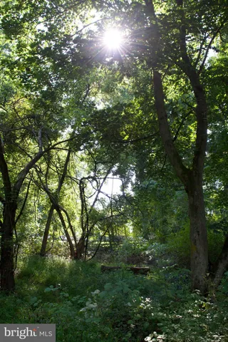 a view of backyard with green space