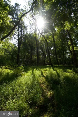 a backyard of a house with lots of trees