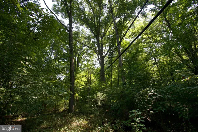 a view of backyard with green space