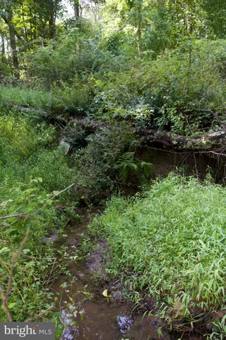 a view of lake with green space