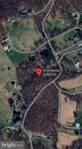 a vase of flowers sitting on a floor