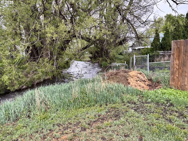 a backyard of a house with lots of green space