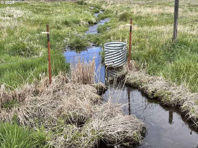 a garden view with a pond