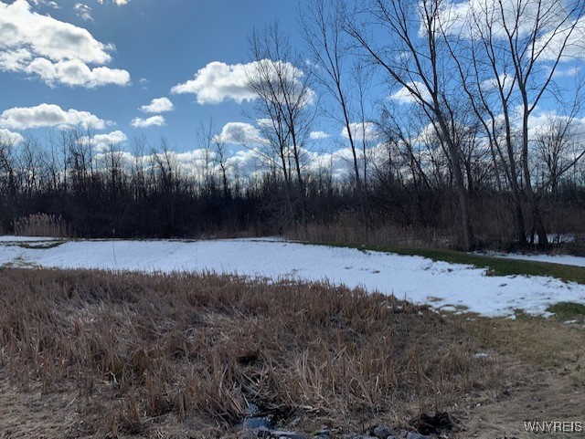 9 Astor Ridge Drive, Unit D Amherst, NY 14228 - Photo 4 of 24