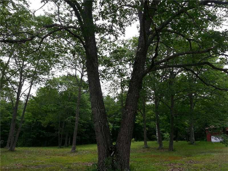 55 Goulds Ridge Road Passadumkeag, ME 04475 - Photo 13 of 23 Yard/Garden.