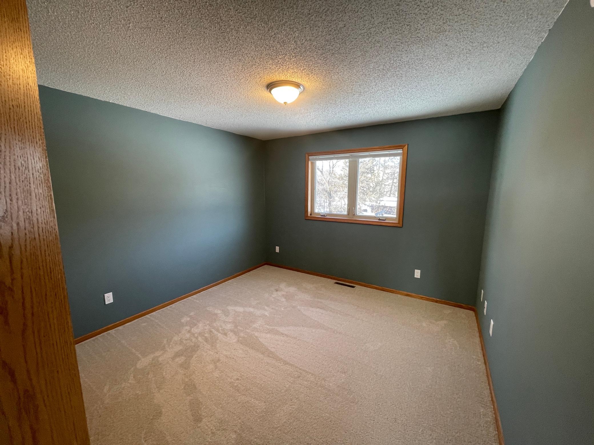 1768 245th Street St. Augusta, MN 56301 - Photo 18 of 49