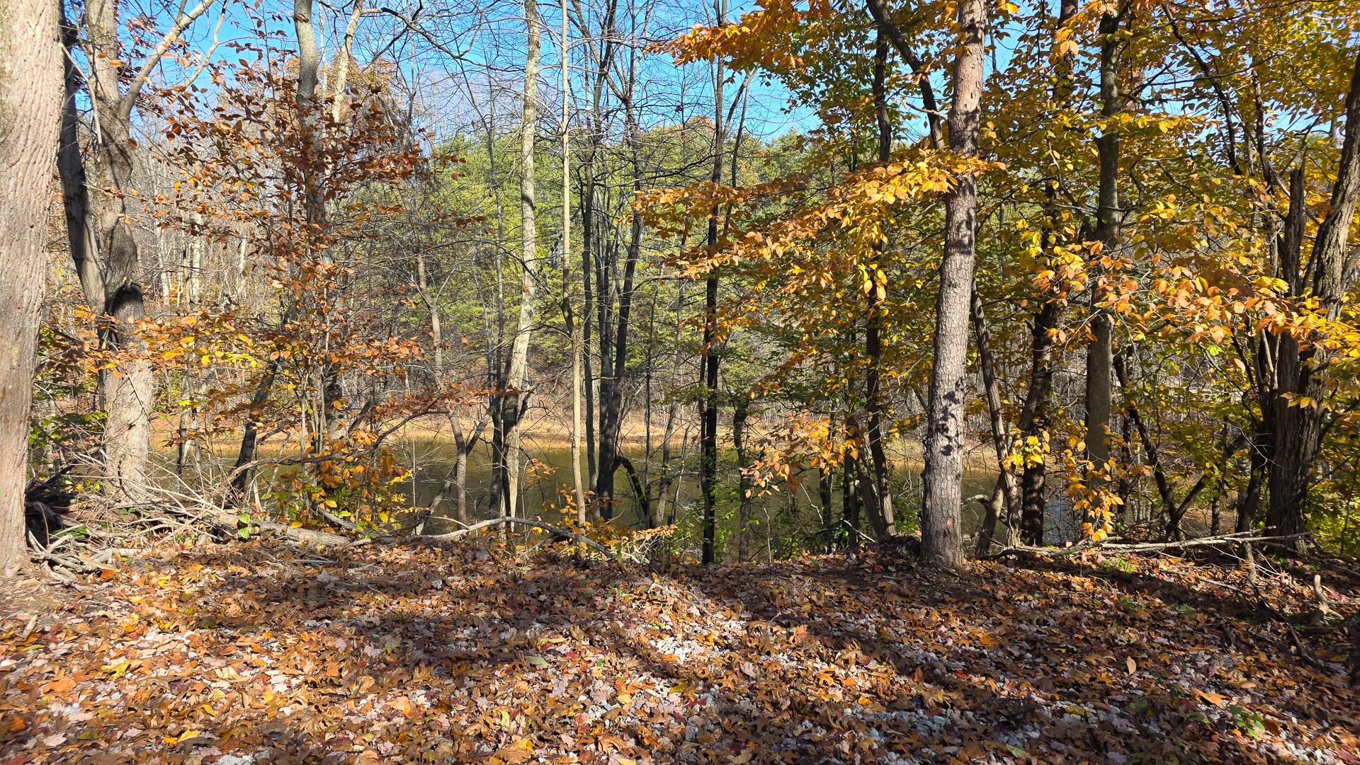 830 Nibert Road, Unit PONDS POPLAR RIDGE TRACT 3) Gallipolis, OH 45631 - Photo 4 of 23 CT-4