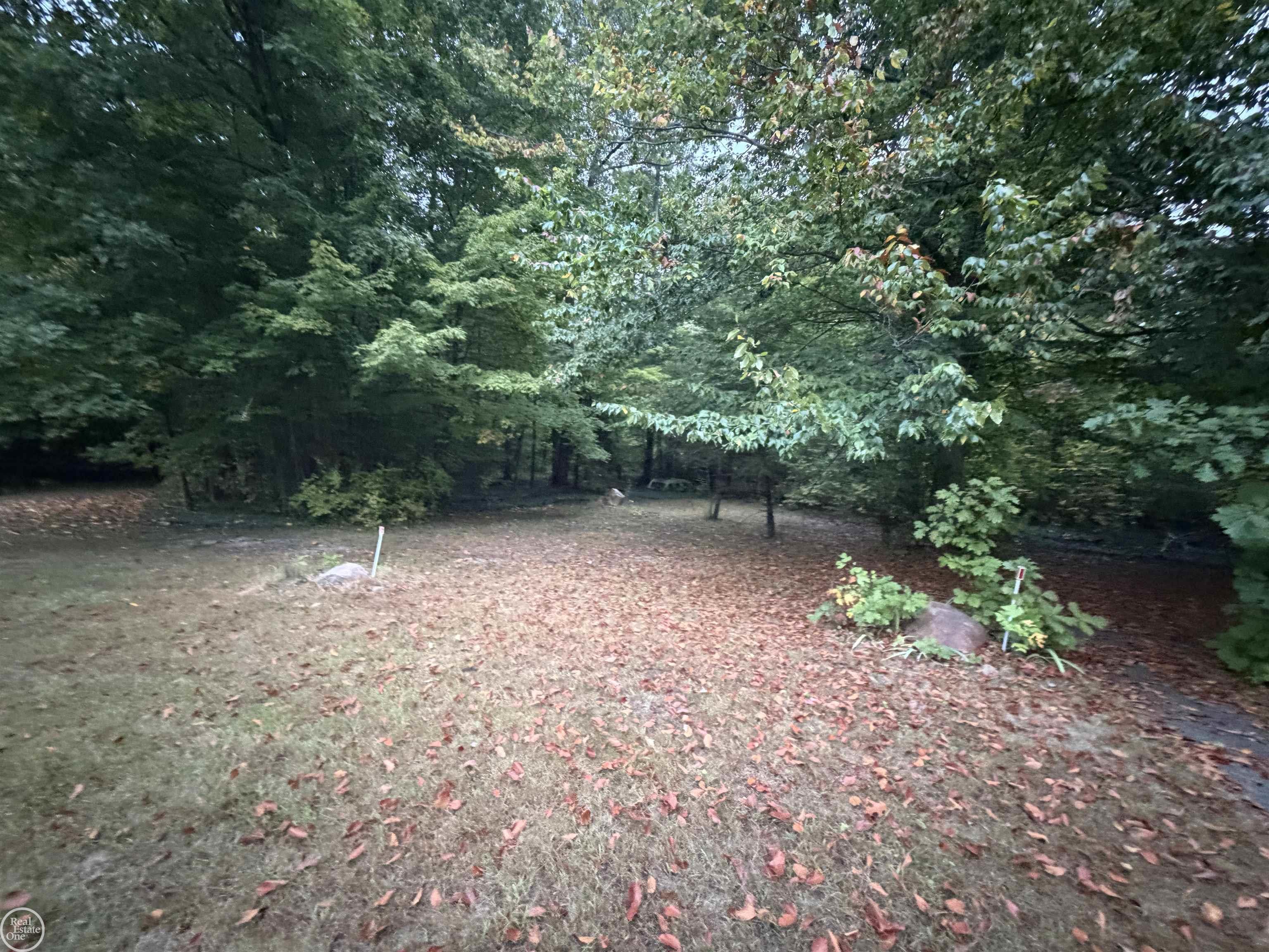 66301 Campground Road Washington, MI 48095 - Photo 3 of 32