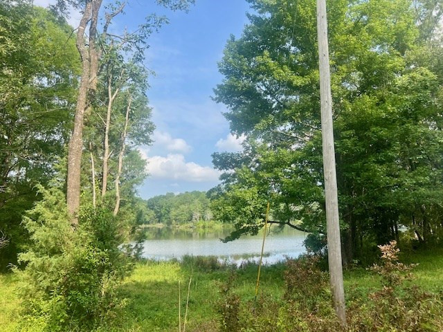 1 Northeast Burt Loop Road Crystal Springs, MS 39059 - Photo 12 of 40 Photo 12